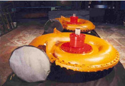 gener_spir2.jpg gener_spir2.jpg